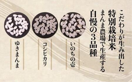 【令和7年度産】飛騨いのちの壱 10kg 特別栽培米 |  金賞受賞農家 品種別金賞 日本一４度受賞 飛騨 まんま農場 LT013VC13