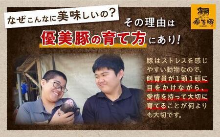 鹿児島県産黒豚「優美豚」贅沢セット（焼肉）