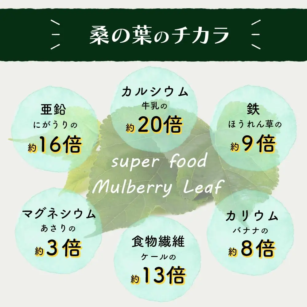 諸木の桑抹茶3袋（身体にやさしいオーガニック）