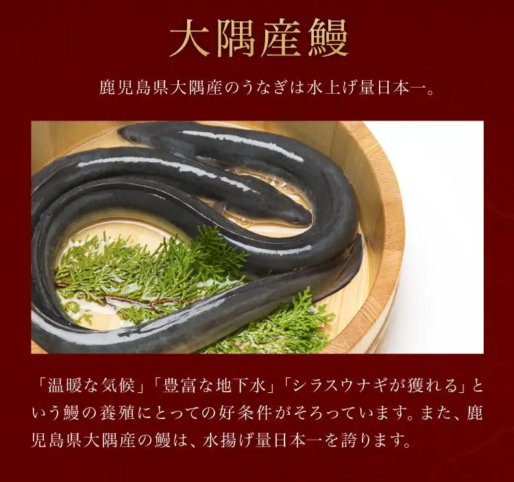 鹿児島県大隅産 千歳鰻の 白焼鰻　6尾｜うなぎ うなぎ