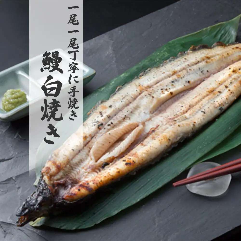 鹿児島県大隅産　千歳鰻 の 白焼 鰻　5尾・ 鰻焼肝 セット｜うなぎ うなぎ