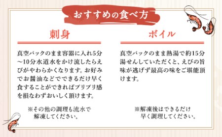 【上天草ブランド認証品】【定期便 全12回お届け】 匠の車えび 【活き締め急速冷凍】300g (9尾～12尾) 冷凍