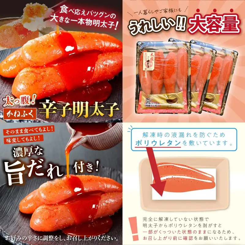 かねふく辛子明太子&デミソースのハンバーグ2種セット【3ヶ月毎定期便(計4回発送)】【F8-005】