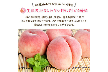 【先行予約】【夏の美味】フルーツ王国 和歌山の桃 約2kg 化粧箱入り | もも （fr-06）