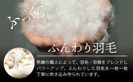 羽毛布団 1枚 シングル 150cm×210cm 訳あり 柄おまかせ