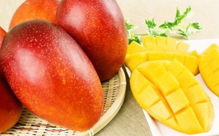 【化粧箱入】【先行受付・2026年発送】神谷ファームのマンゴー（秀）約2kg - 先行予約 沖縄県産 産地直送 南国フルーツ 旬の味覚 季節の果物 贈り物 ギフト 沖縄県 八重瀬町