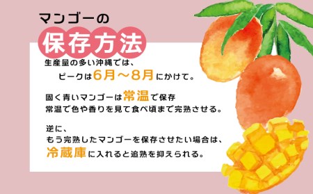 【先行受付】【2026年発送】渡口ファームの家庭用マンゴー約2kg - 先行予約 沖縄県産 産地直送 南国フルーツ 旬の味覚 季節の果物 ご自宅用 沖縄マンゴー 沖縄県 八重瀬町