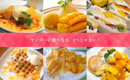 【化粧箱入】【先行受付・2026年発送】ヤマト農園 アップルマンゴー約2kg（良品）- 先行予約 沖縄県産 産地直送 南国フルーツ 旬の味覚 季節の果物 贈り物 ギフト 沖縄県 八重瀬町