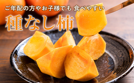 【令和8年産柿/先行予約】 20～26玉 多気町発祥 前川次郎 柿