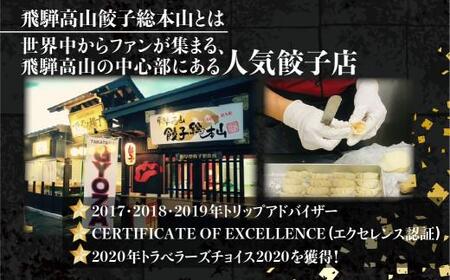 【ふるなび限定】餃子 100個入 餃子  FN002 FN-Limited-PR