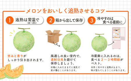 《2026年分受付中》とろける食感と甘い香り北海道三笠メロン2玉入（2.6kg以上）【0100104】