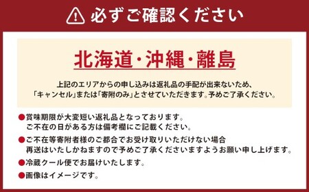 ふんわり手焼き国産うなぎ（約200g） 1尾 手焼き 国産 鰻 ウナギ
