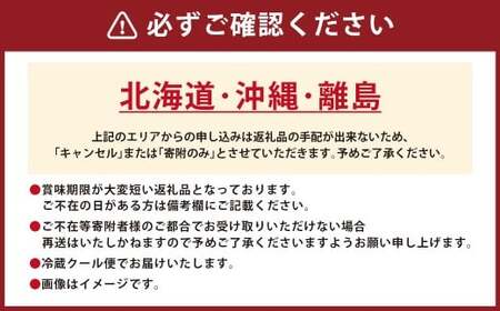 ふんわり手焼き国産うなぎ（約200g）×2尾 手焼き 国産 鰻 ウナギ