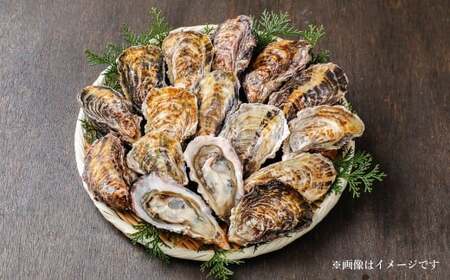 牡蠣 坂越かき 殻付き牡蠣 60個 カキ 牡蠣 かき 海の幸 魚介 貝 【2025年12月上旬-2026年5月下旬まで発送予定】