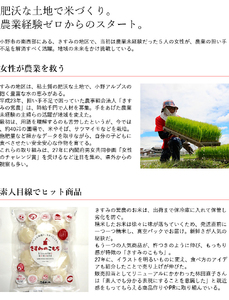 餅 きすみのこもち 6袋セット[ もち お餅 もち米 個包装 無添加 お正月 ] おもち 1 お雑煮 ピザ きんちゃく お歳暮 お年賀 お祝い 1個 パック 