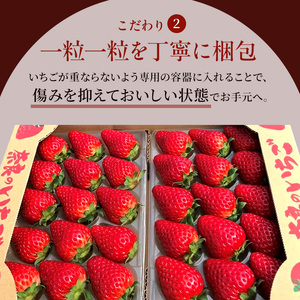 先行予約 いちご 奈良県産 古都華 約540g 270g×2パック 今西さん家の奈良いちご 冷蔵配送 ことか フルーツ 果物 旬 糖度 産地直送 農家直送 お取り寄せ おやつ デザート 苺 冷蔵  奈良 大和郡山市 BN001