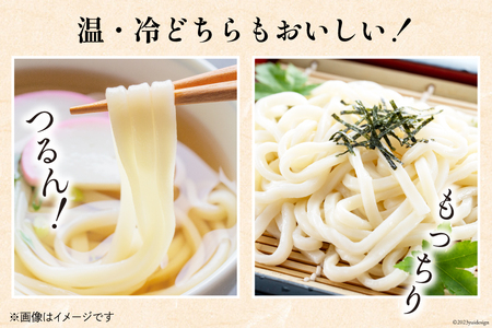 うどん 古式熟成 手打ち 生うどん 300g 8パック めんつゆ 500ml セット [ 武州めん 埼玉県 小川町 003]