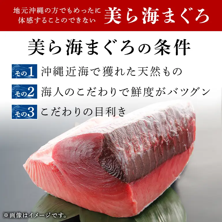 沖縄県産 本まぐろネギトロ 1kg 200g×5パック 大容量 小分け お徳用 海鮮 冷凍 たたき 鮪 生食用 沖縄 糸満市 三高水産 まぐろたたき セット ネギトロ 国産マグロ マグロ ねぎとろ 天然 国産 個包装 手巻き寿司 ねぎとろ丼 海鮮丼 業務用 まぐろ 101-3