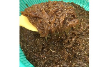 しらす漁師直売！「湘南釜揚げしらす・沖漬けセット」C M050-003 魚 冷凍