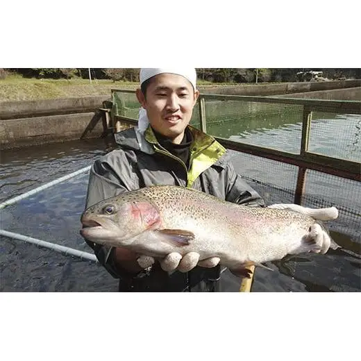 栃木県のブランド魚「プレミアムヤシオマス」丸1尾 新鮮 活け締め｜鮮魚 鱒 国産 産地直送  