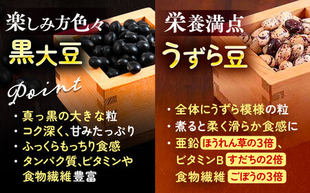 北海道 あしょろの豆 5種 計2kg（各400g×各1袋）《足寄町》【党崎農場】[BEAA011]