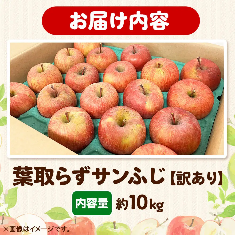 27年2月発送】りんご 葉取らず サンふじ【訳あり】約10kg 糖度13度以上