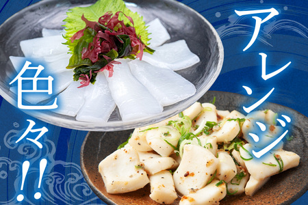 ソデイカ 約1kg いか  セーイカ