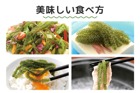 朝採れ! ぷちぷち 海ぶどう 400g 沖縄県産 海ブドウ たれ付き 無着色 沖縄 特産品 沖縄グルメ 海の宝石 海藻 海ぶどう丼 サラダ おつまみ おかず 沖縄料理 常温保存 贈答用 ギフト 産地直送 沖縄県 糸満市