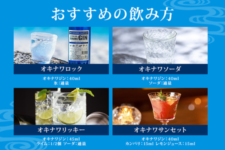 オキナワ ジン 700ml 2本 まさひろ酒造 クラフトジン 沖縄
