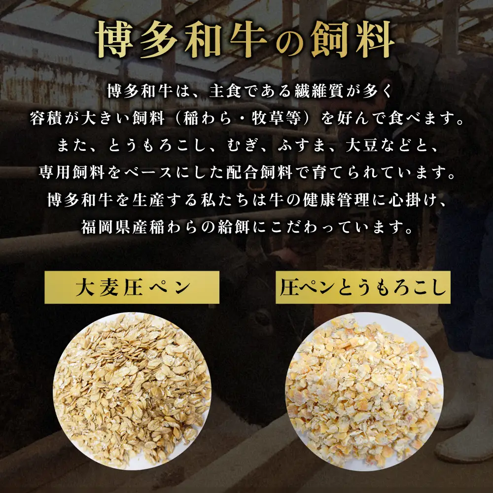【福岡県産】 博多和牛切り落とし 1.6kg 2J2