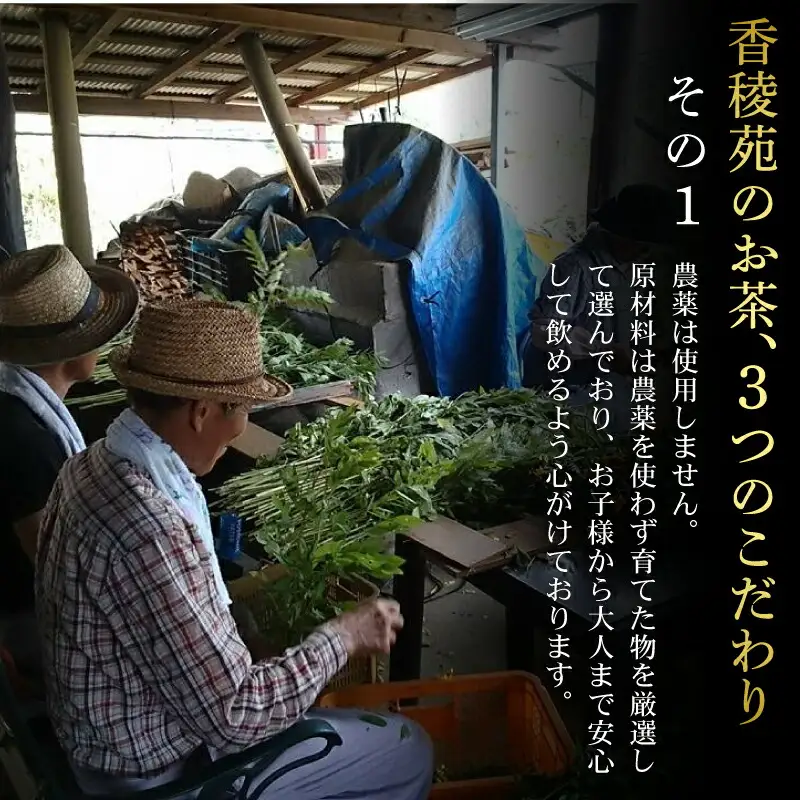 【はぶ茶】鉄釜はぶ茶セット(16包) 野草茶