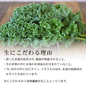 【国産ケール100%】遠藤青汁（28パック×1箱）冷凍生タイプ