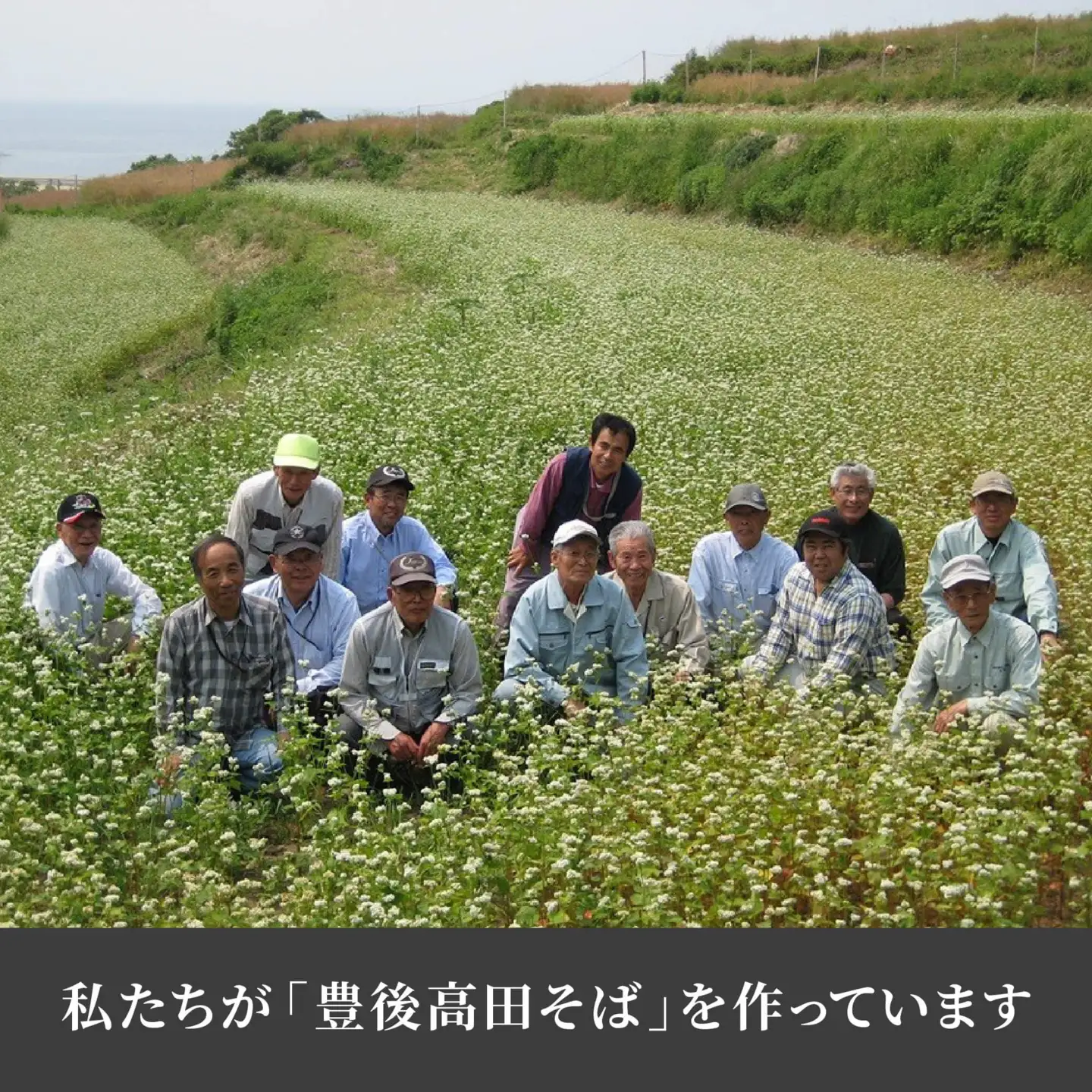 【12/17~28配送】R8秋新そば豊後高田なまそば(100g×8食・つゆ付) | 豊後高田市 年越し
