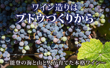 直売店限定品をふるさと納税で！ 能登ワイン　スパークリング・ロゼ | お酒 ぶどう 