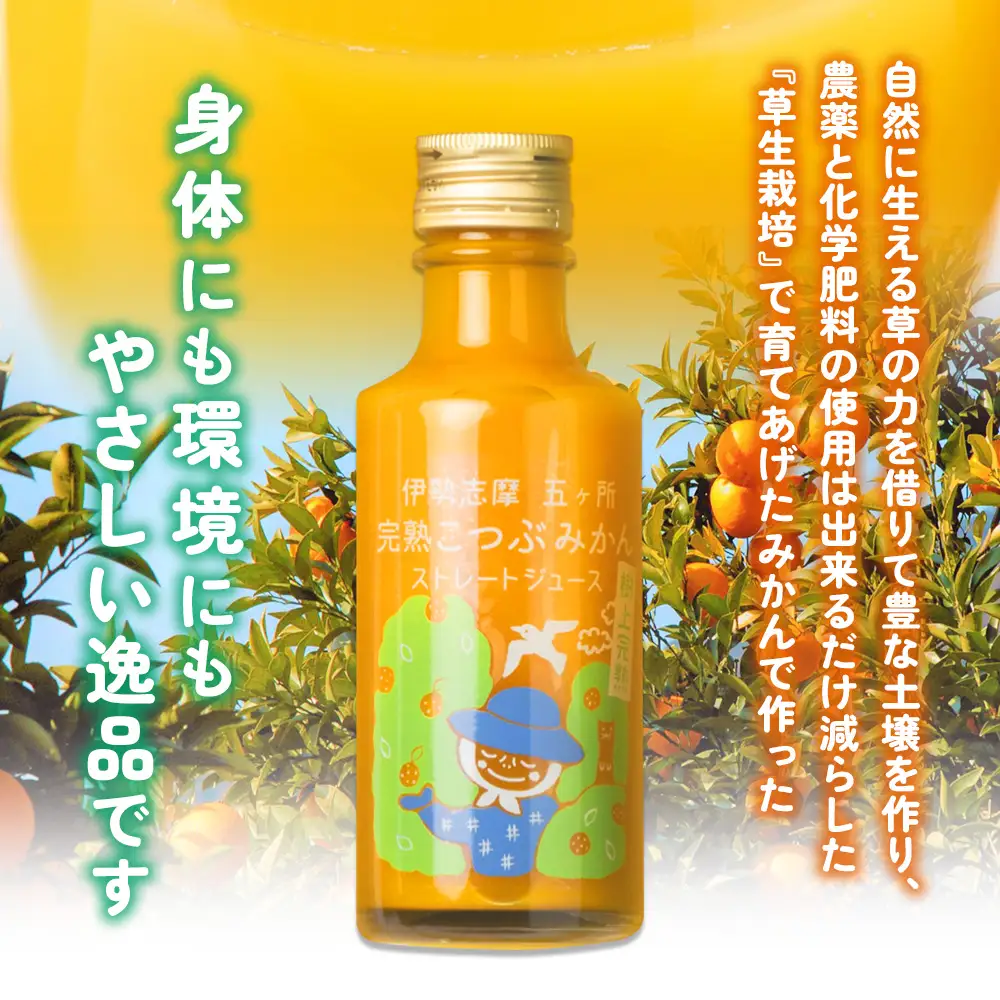 みかんジュース 南伊勢 の 五ヶ所 みかん ジュースセット ストレート ジュース こつぶ 蜜柑 果物 フルーツ 甘い 甘味 mikan 完熟 果汁100% 三重県 伊勢志摩