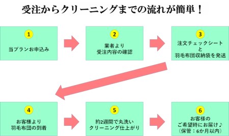 U03　羽毛布団丸洗いクリーニング　防ダニ加工＆保管付き（シングル1枚）
