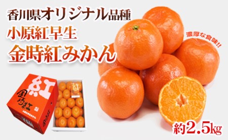 みかん 香川県オリジナル品種 小原紅早生みかん 金時紅 2.5kg オリジナル 早生みかん 蜜柑 ミカン 柑橘系 柑橘類 フルーツ 果物 くだもの 果実 旬の果物 旬のフルーツ 香川 香川県 東かがわ市