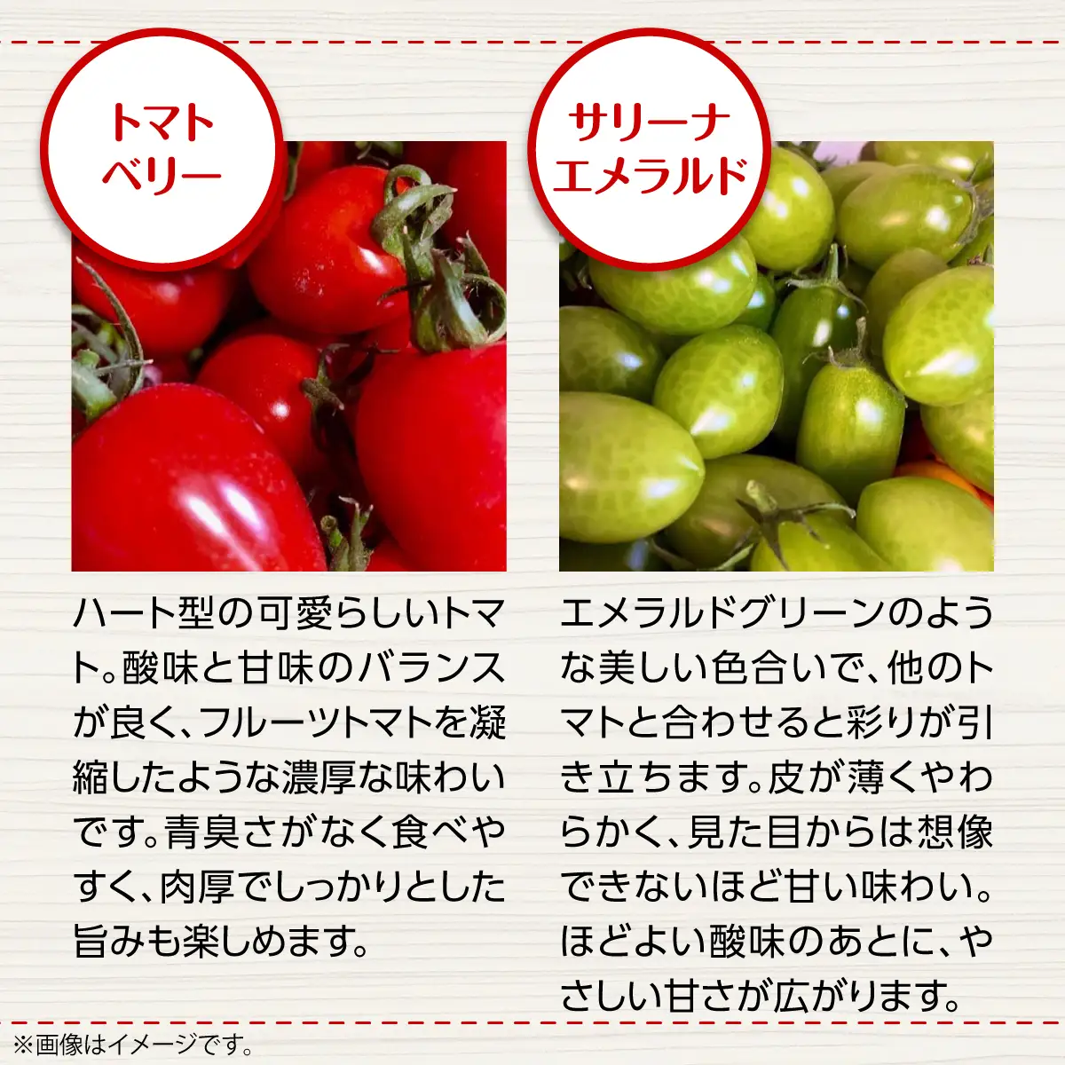 ＜2026年7月上旬よりお届け＞【農園直送】北海道壮瞥産　彩りミニトマト約2.7kg SBTO004