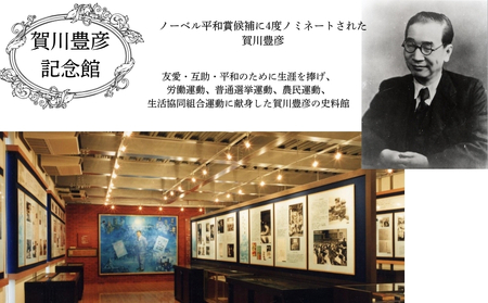 鳴門市ドイツ館・賀川豊彦記念館見学 大人2名分　チケット　鳴門　歴史　ドイツ館　記念館　観光