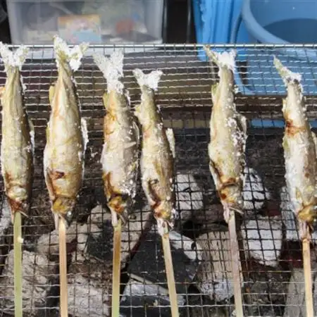 【CAS冷凍】スイカの香りと美味しさを閉じ込めた清流・高津川の天然鮎3尾/袋×3(約450g)【配送不可地域：離島】【1209578】