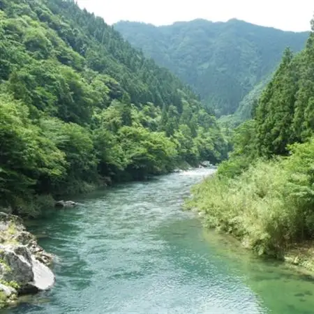 【天然もの】清流・高津川上流で捕れた天然あゆ(冷凍500g・5～10尾程度)【配送不可地域：離島】【1209707】