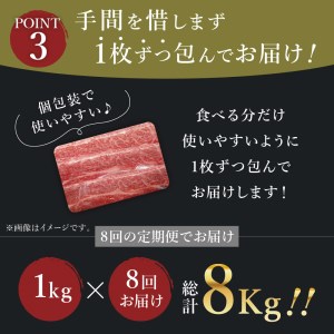 【全8回定期便】佐賀牛モモしゃぶしゃぶ　総計8kg 999-J411