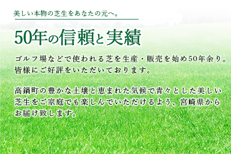 ＜高麗芝 2平方メートル＞2か月以内に順次出荷【c736_hg_x2】