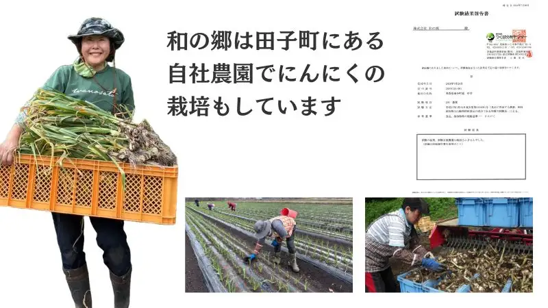 【訳あり】田子（たっこ）熟成黒にんにく1kg（青森県田子町産にんにく使用）