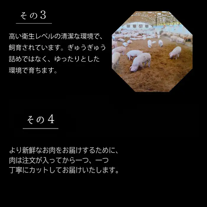 赤村養生館 豚肉ヒレブロック 約600g B13