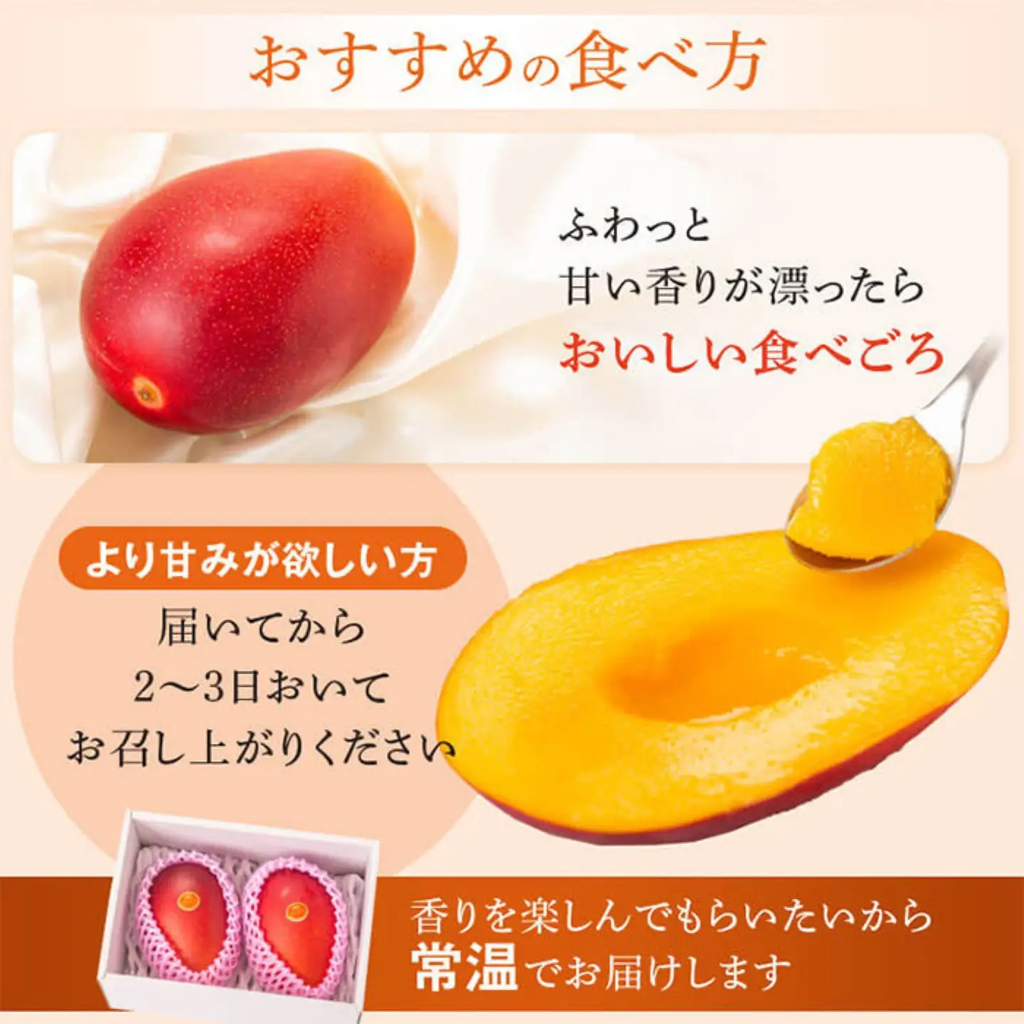 【B15002】肝付町産 完熟マンゴー ご褒美セット 約400~500g×2個【SHOWAマンゴー農園】