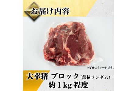 i335《毎月数量限定》鹿児島県出水市産大幸猪肉のブロック＜部位ランダム・約1kg＞自宅でジビエ料理！牡丹鍋やカレー、BBQでも活躍！高タンパク・低カロリーで亜鉛・ビタミンB群が豊富なので健康に気を付けている方へおすすめ♪ 肉 猪肉 ジビエ ミンチ 料理 高タンパク 低カロリー 亜鉛 ビタミンB群 健康 焼肉 BBQ 牡丹鍋 煮込み料理 冷凍【大幸】