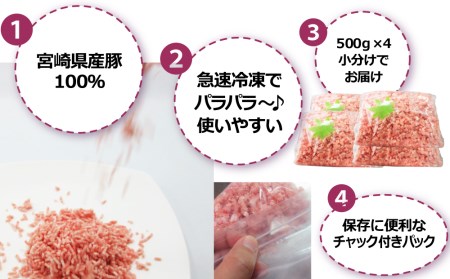 便利なチャック付きパック入り！宮崎産豚ミンチ 2kg【B459-60】