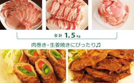 ＜バラ・ロース・モモ＞豚スライスセット 宮崎県産豚肉1.5kg【B460-60】