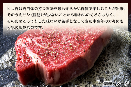 あか牛（褐毛和牛） ヒレステーキ 450g  フィレ ヘレ《90日以内に出荷予定(土日祝除く)》 
